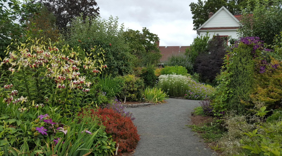 Rogerson Clematis Garden, United States